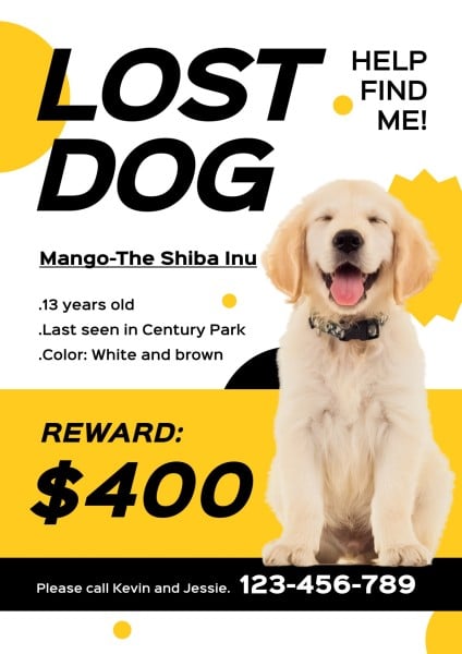 黄色丢失的狗搜索通知 英文海报