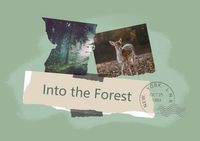 进入森林 明信片