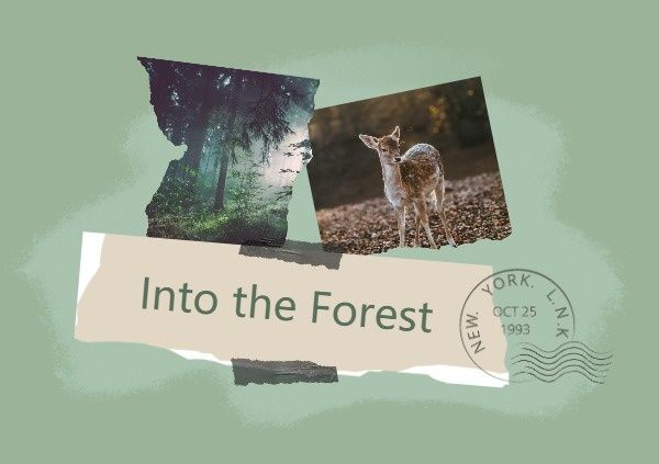 travel tips, tree, nature, Into The Forest Postcard Template
