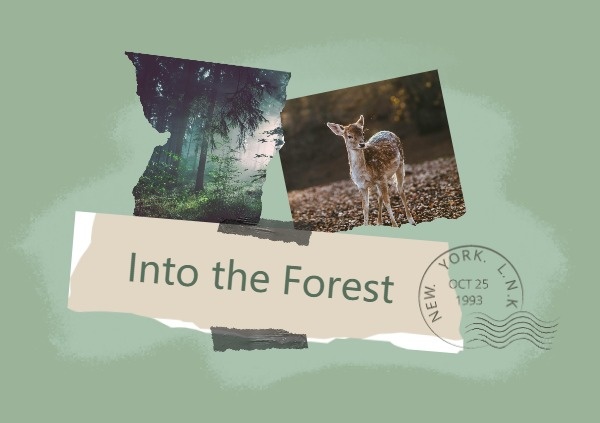 进入森林 明信片