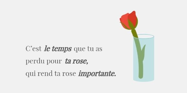 pot, vase, success, Little Prince Rose Quote Twitter Post Template