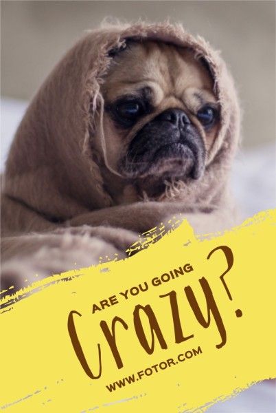 dog, animal, shar pei, Crazy Pet Pinterest Post Template