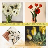 flora, beautiful, blooming, Flower Collage Instagram Post Template