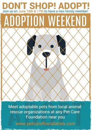 weekend, dont shop, adoption weekend, Cute Pet Adoption Flyer Template