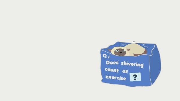 shivering, cold, winter, Is Shiver Exercise Desktop Wallpaper Template