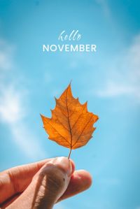 autumn, season, greeting, Hello November Pinterest Post Template