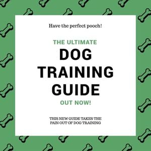 guide, tips, animal, Green And White Pet Training Instagram Post Template