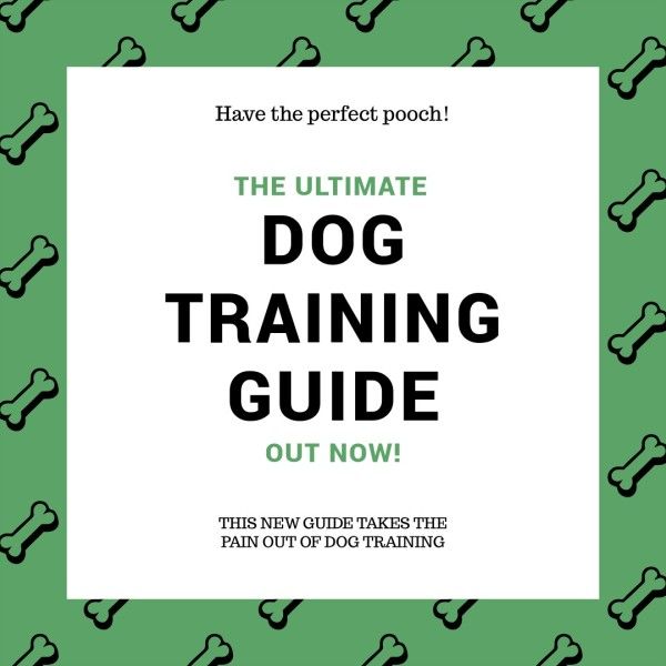 guide, tips, animal, Green And White Pet Training Instagram Post Instagram Post Template