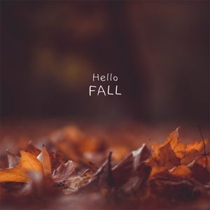 greeting, autumn, fall, Hello November Instagram Post Template