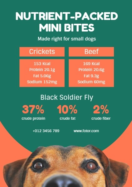Green And Orange Pet Food Sale Flyer