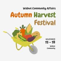 autumn, food, fruit, Fall Harvest Festival Instagram Post Template