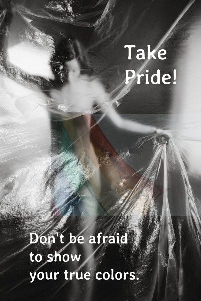 lgbt, love, gay, Take Pride Pinterest Post Template
