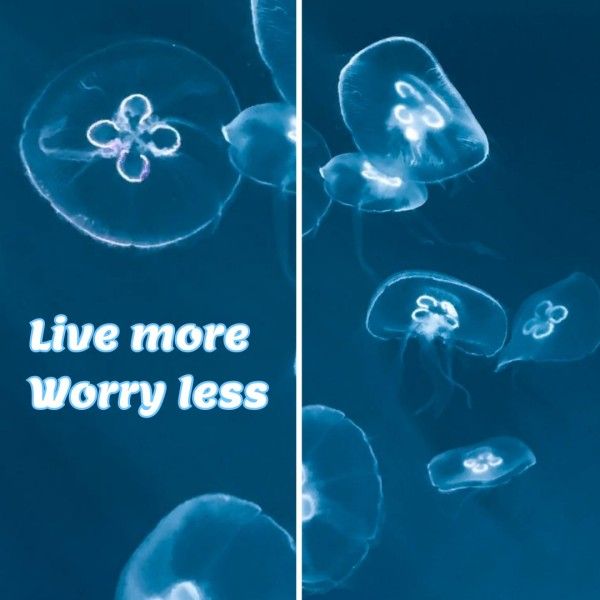 see, sea, simple, Blue Jellyfish Life Quote Instagram Post Template