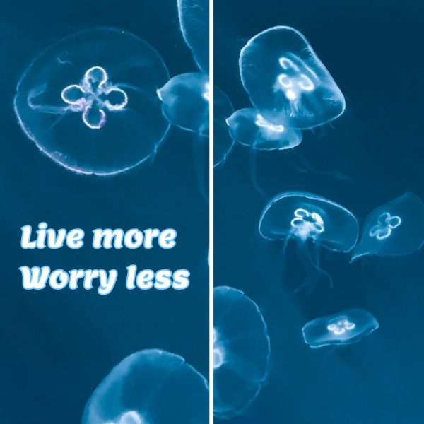 Blue Jellyfish Life Quote Instagram Post