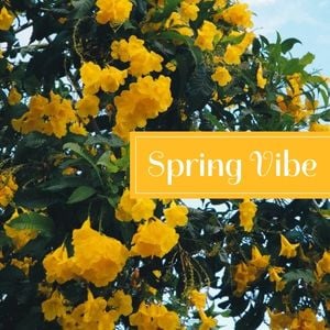 natural, landscape, nature, Green And Yellow Spring Season Instagram Post Template