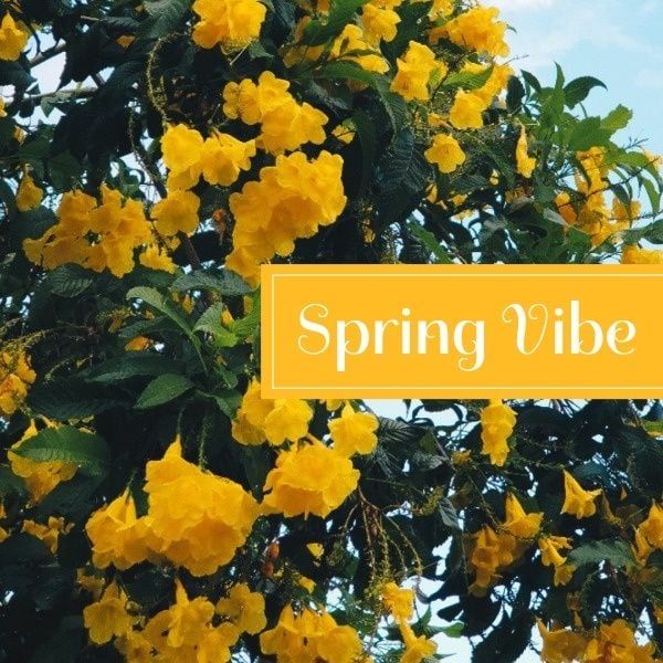 緑と黄色の春の季節 Instagram投稿