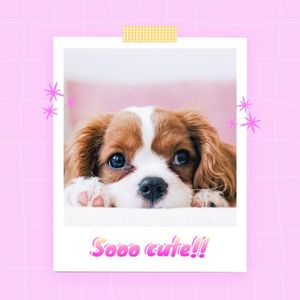 粉红色简单可爱的宠物宝丽来 Instagram帖子