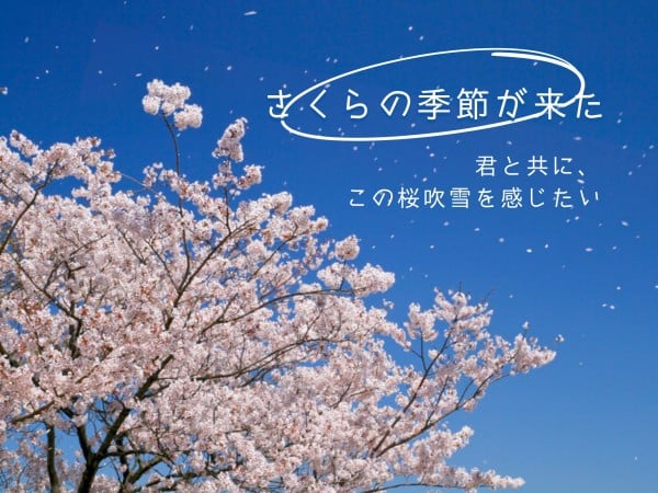 青とピンクの春の花 メッセージカード