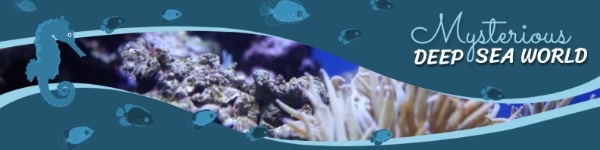 Underwater Banner LinkedIn Background