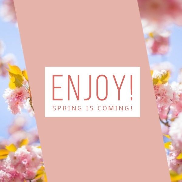 season, enjoy, life, Pink Spring Blossoms Banner Instagram Post Template