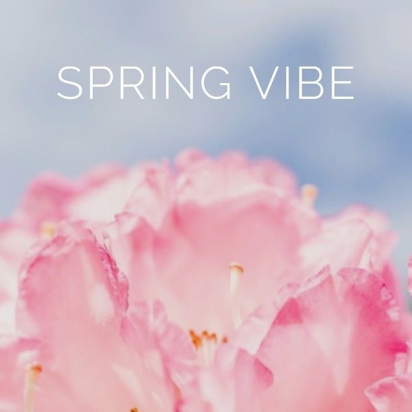 social media, life, season, Pink Flower Spring Vibe Instagram Post Template