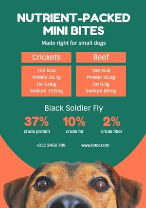 dog, dog food, store, Green And Orange Pet Food Sale Flyer Template