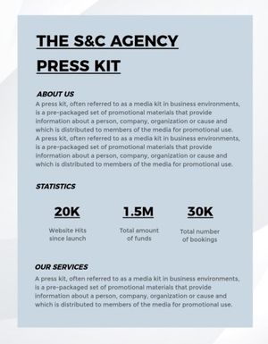 Gray Critical Business Plan Media Kit