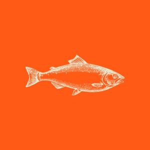 club, business, illustration, Orange Fishing Icon ETSY Shop Icon Template