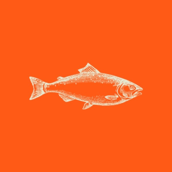 Orange Fishing Icon ETSY Shop Icon