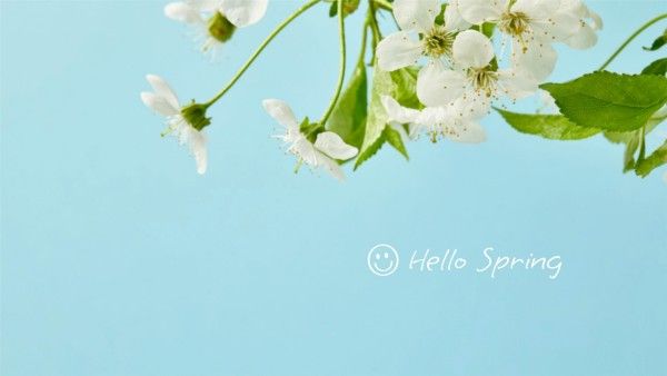 flower, greeting, nature, Light Green And Blue Spring Blossom Desktop Wallpaper Template