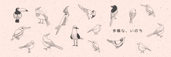 birds, animal, animals, Bird Twitter Cover Template