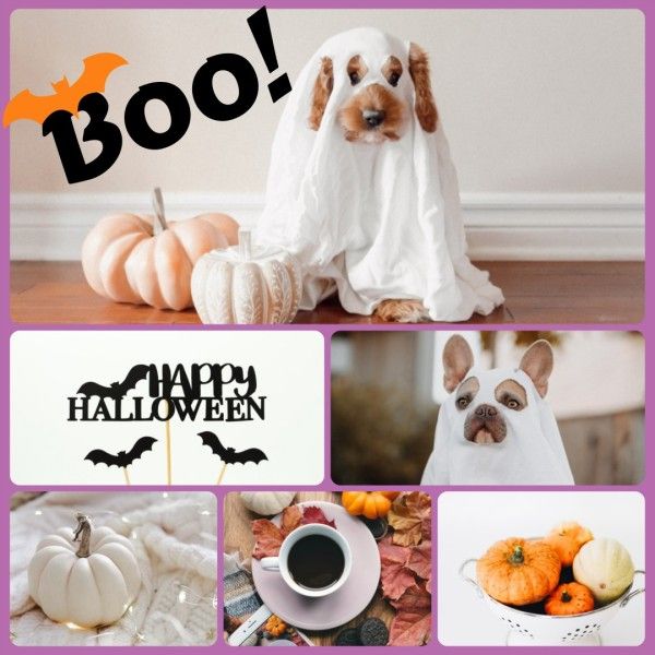 festival, celebration, dog, Montage Halloween Holiday Photo Collage (Square) Template