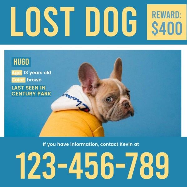 missing, pet, find, Blue Lost Dog Instagram Post Template