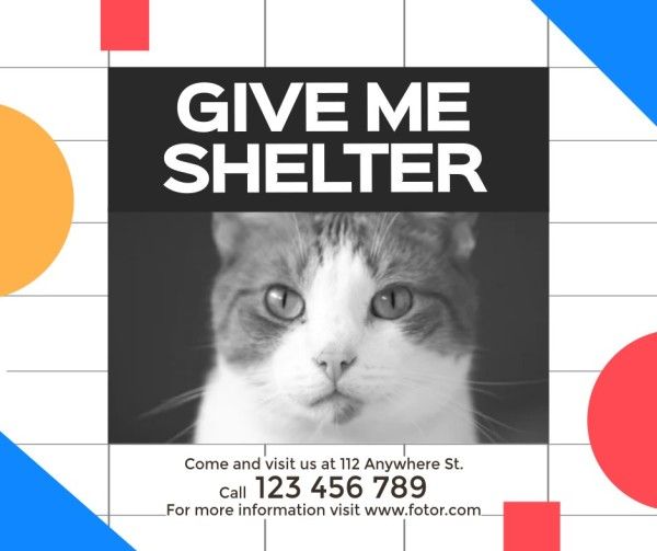 help animal, cat, pet, White Animal Shelter Help Facebook Post Template