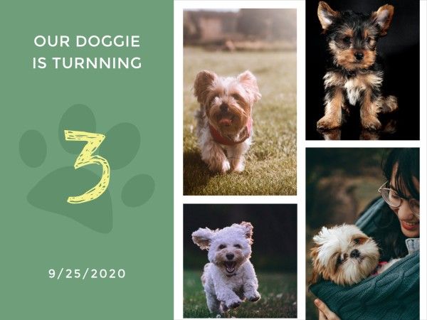 Green Doggie Photo Collage Photo Collage 4:3