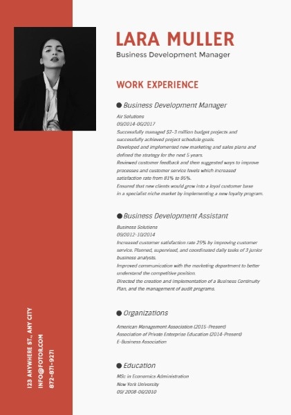  Business Development Manager Red Art Resume Resume