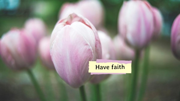 Pink Life Quote Wallpaper