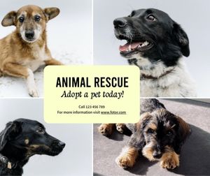 animal, dog, rescue, Adopt A Pet Today Facebook Post Template