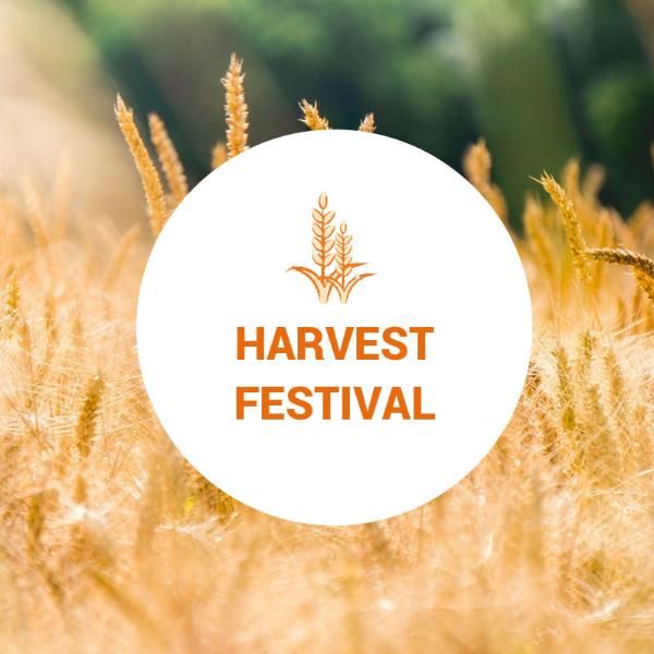 fall, havest festival, grain, Season harvest festival autumn Instagram Post Template