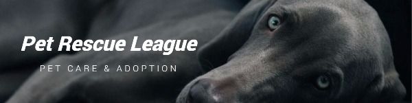 pet care, pet rescue, profile, Pet Adoption LinkedIn Background Template