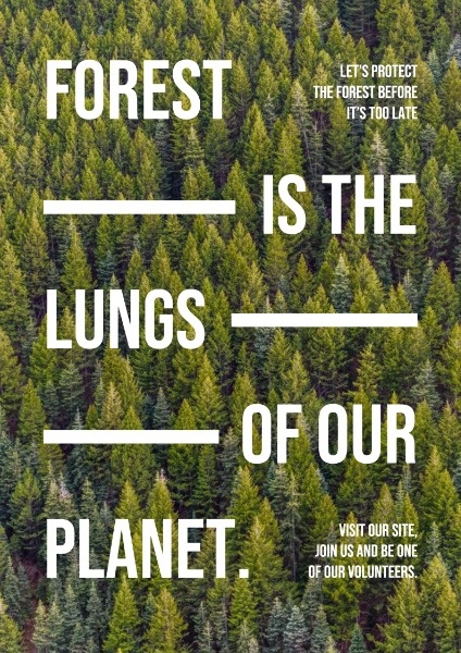 简单的森林护理 英文海报