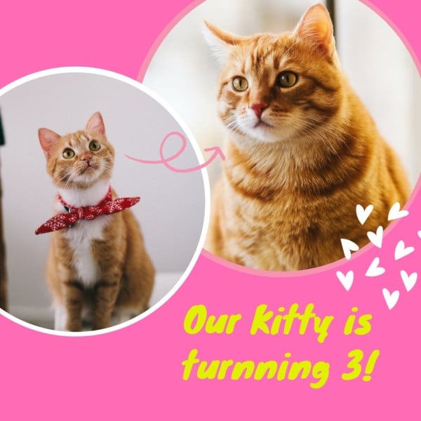 Pink Cat Birthday Photo Collage