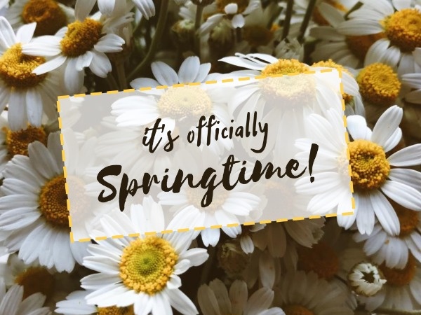 Sunflower Spring Time Quote Card