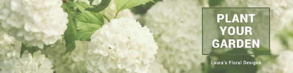 花卉设计 LinkedIn背景图