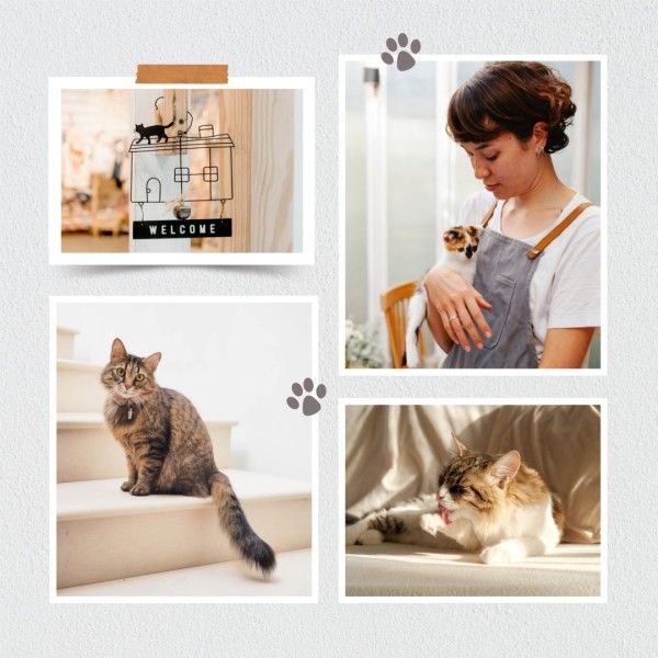 cat, modern, clean, White Simple Background Pets Photo Collage Instagram Post Template
