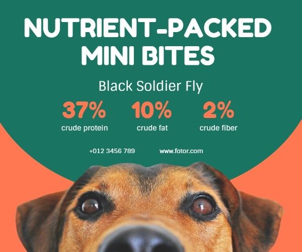 dog, animal, promotion, Green And Orange Pet Food Sale  Facebook Post Template