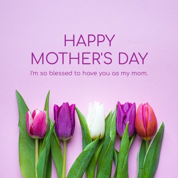 紫の花の花母の日の挨拶 Instagram投稿