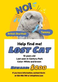 黄色丢失的猫搜索通知 英文海报