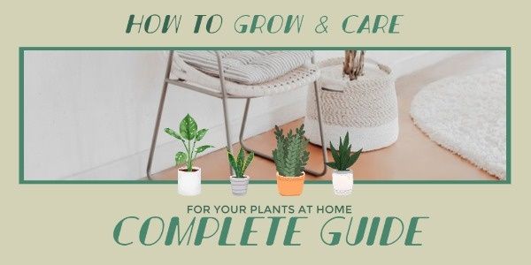 plant, cultivation, gardening, Flowerpot Care Twitter Post Template