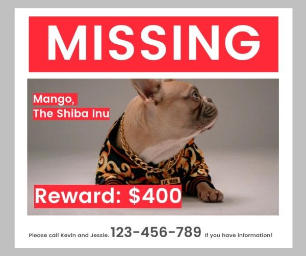 poster, puppy, animal, White Missing Dog Search Notice Facebook Post Template